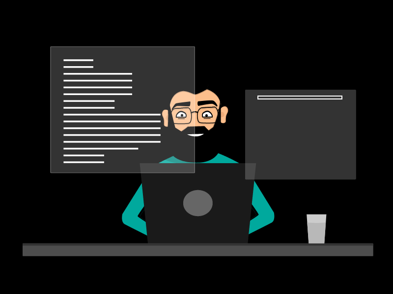 software developer